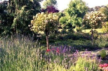 Bed & Breakfast Fairholme Manor 5*
